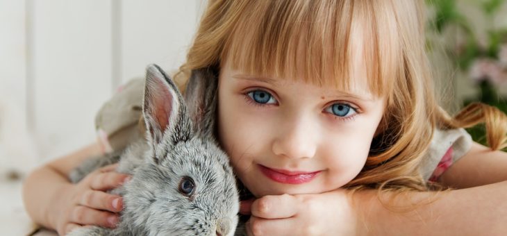 Zerstörerisches Verhalten bei Kaninchen