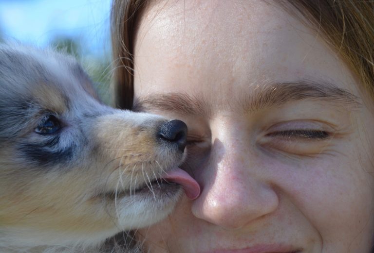 Warum leckt mein Hund mich ab und ist es ein Problem? Tierbedarf Bieker