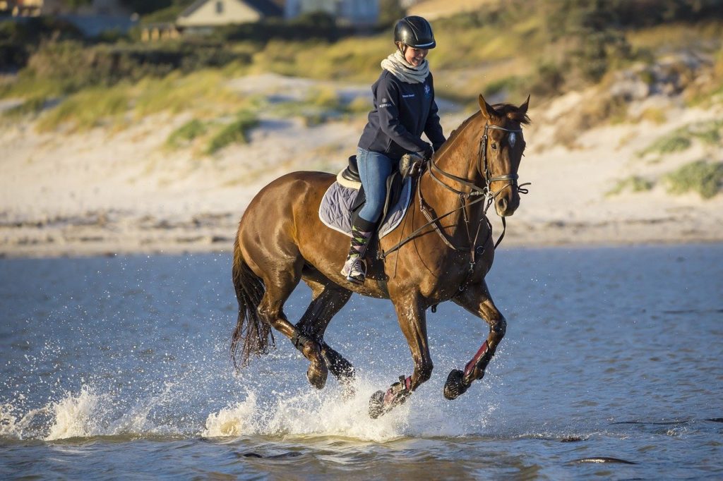 gesundheitliche Vorteile beim Reiten