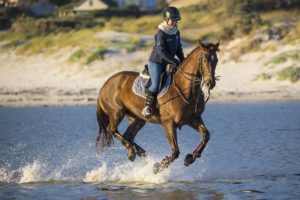 gesundheitliche Vorteile beim Reiten