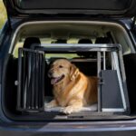 Sicher unterwegs: Worauf Hundebesitzer beim Transport im Auto achten sollten