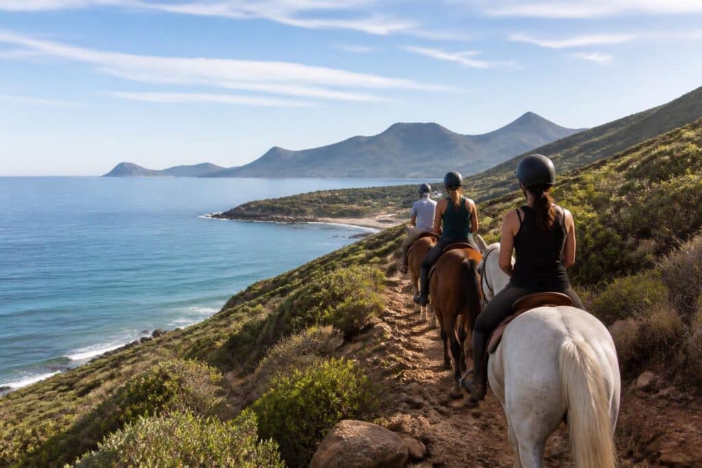 Horse Riding Holidays: Die schönsten Reiseziele und Tipps für einen unvergesslichen Reiturlaub